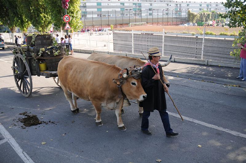 GAGNY2010DEFILE FOLKLO315